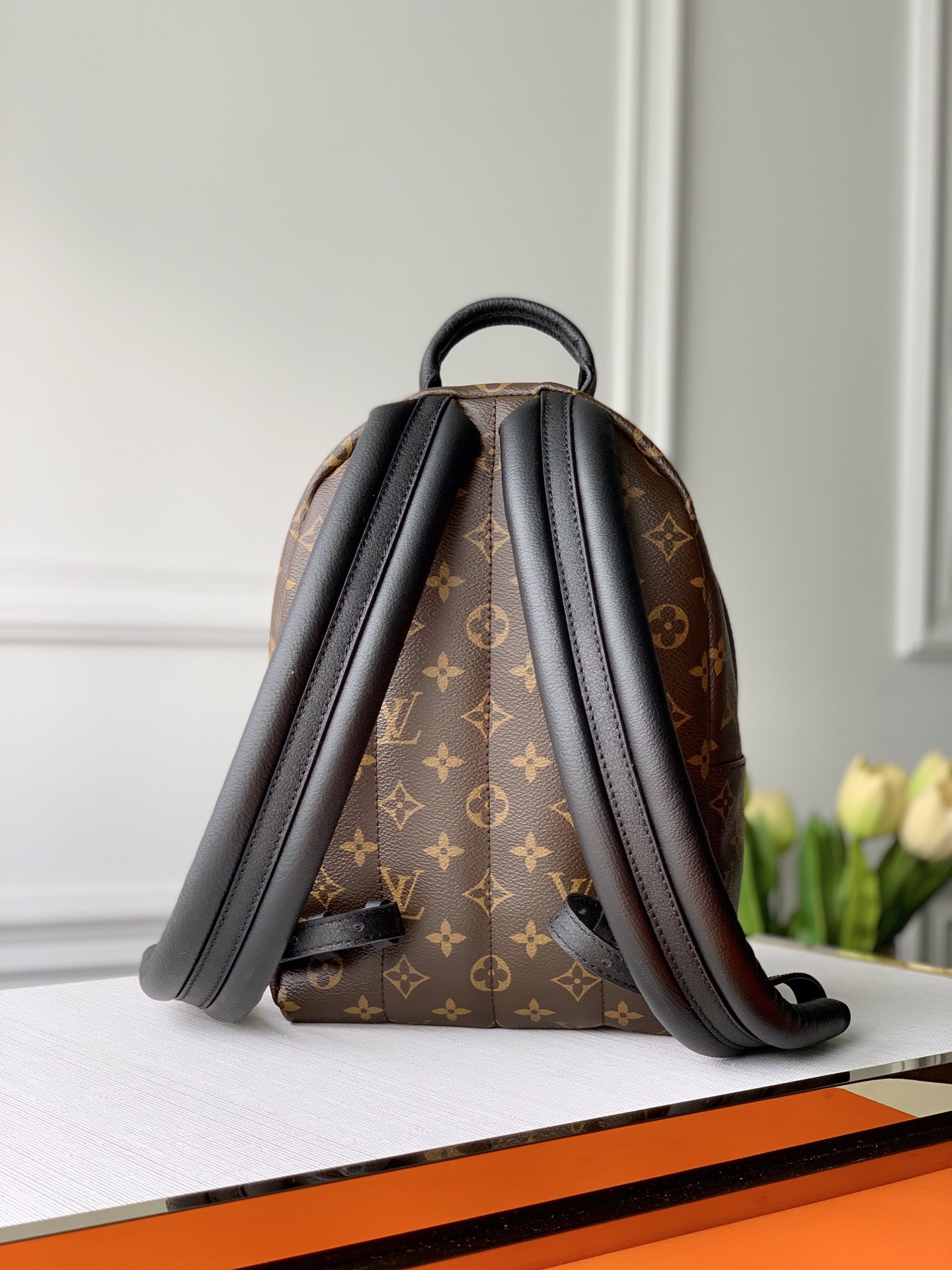 l0*is V*t0n backpack-m44871-22*19*10cm
