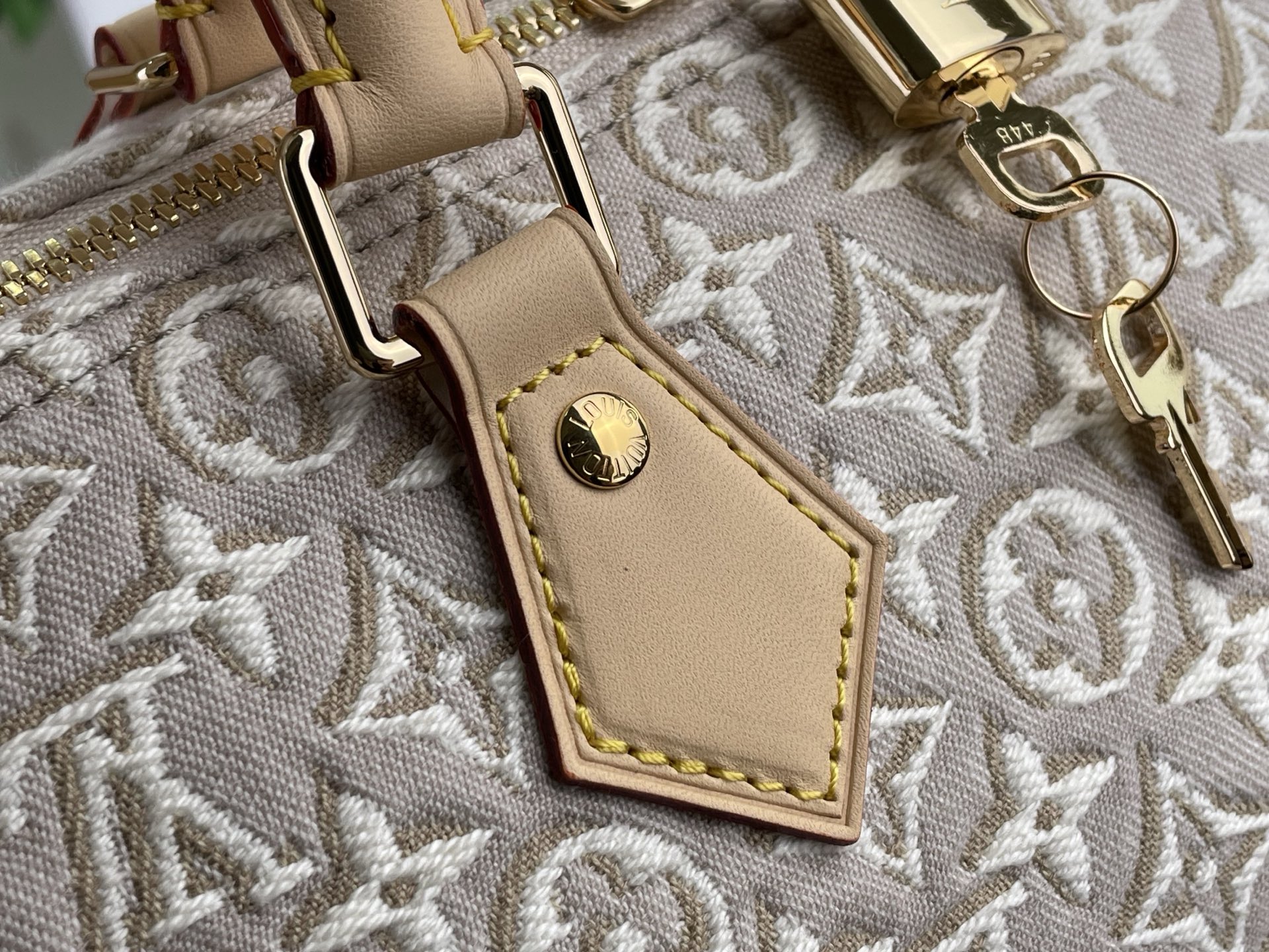 L0vis Vvtt0n Speedy Soft 30 Bags -M28479-30*21*17CM