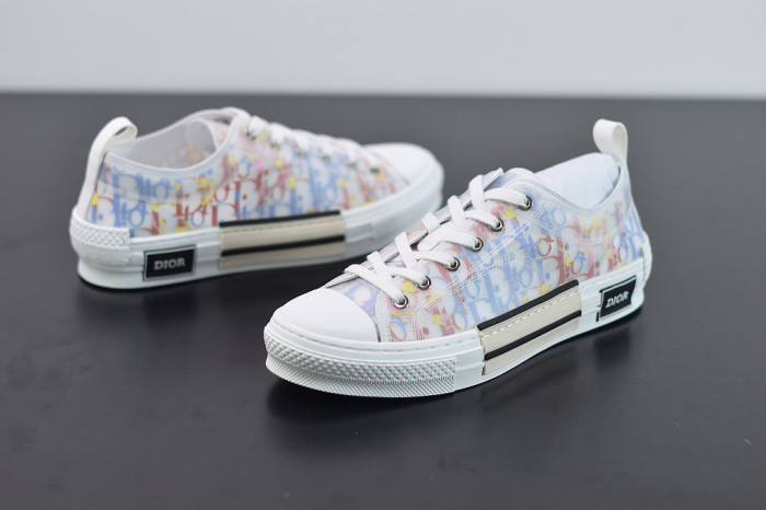 DR B23 OBLIQUE LOW TOP “CD Ghosting"