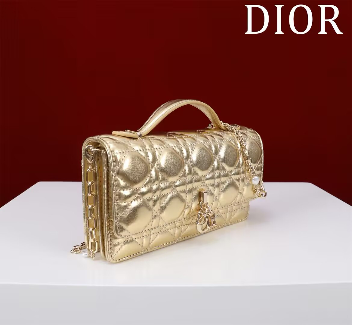 My D10r Mini Bag 21 x 11.5 x 4.5 cm
