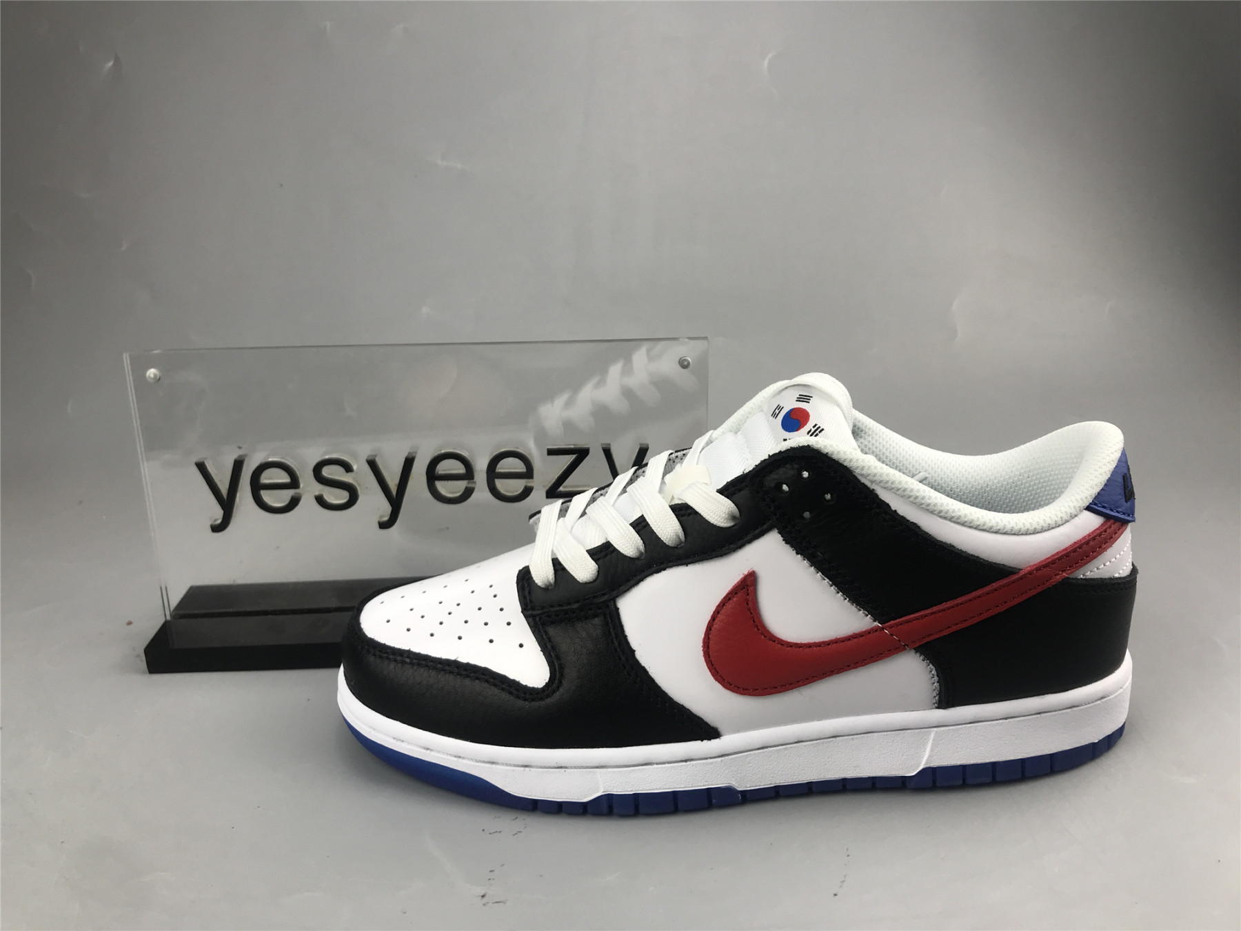 UA NIKE DUNK LOW 