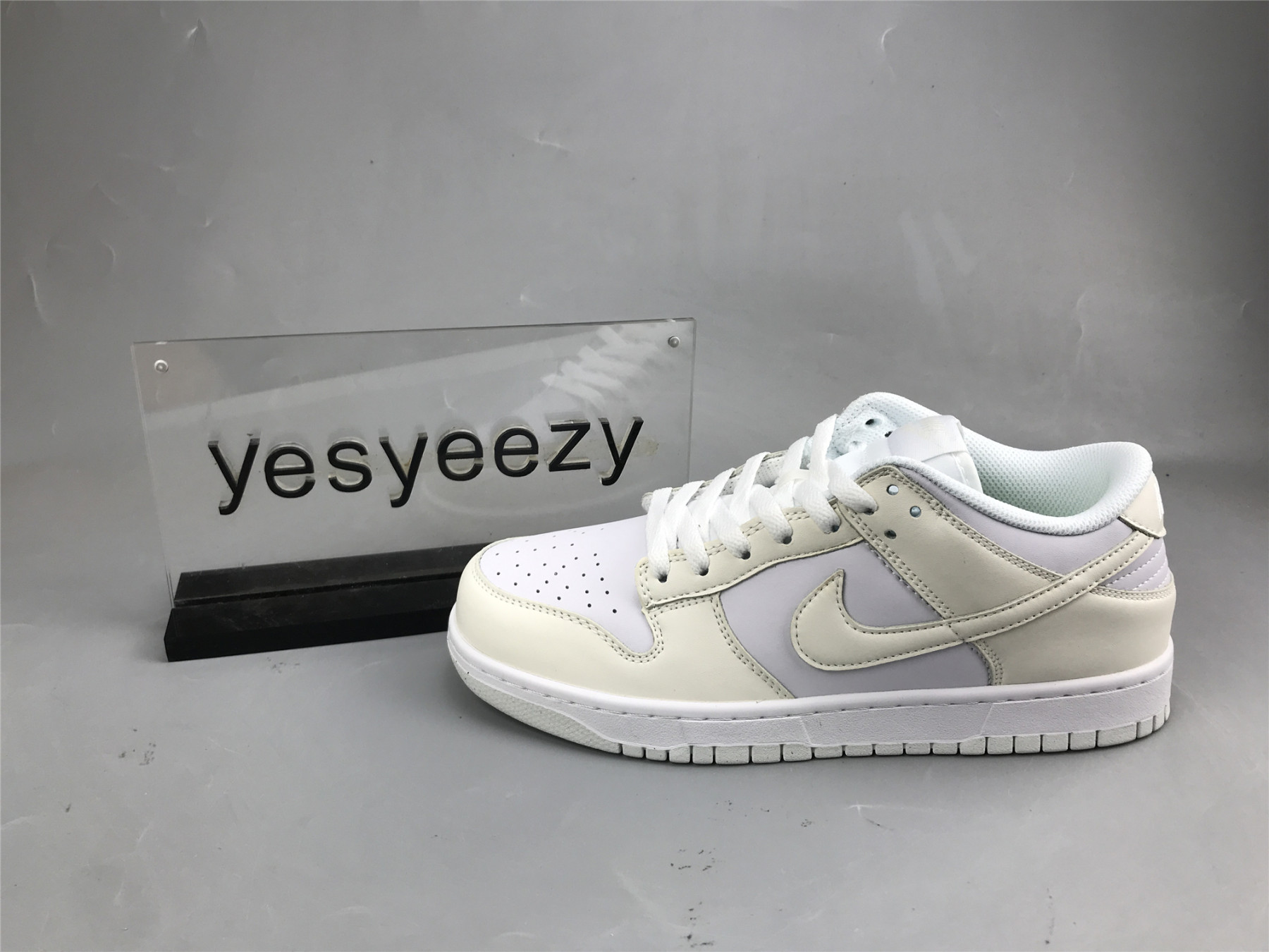 UA NIKE DUNK LOW 