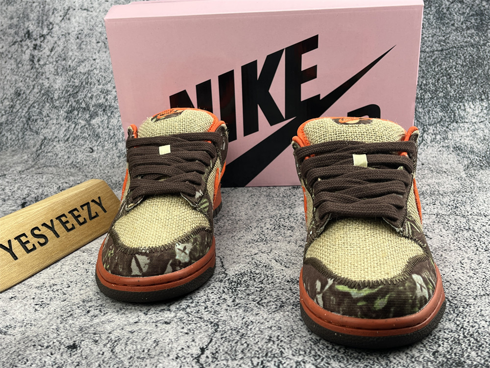 UA DUNK LOW PRO SB 