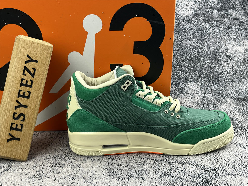 UA NINA Ch**el ABNEY X AIR JORDAN 3
