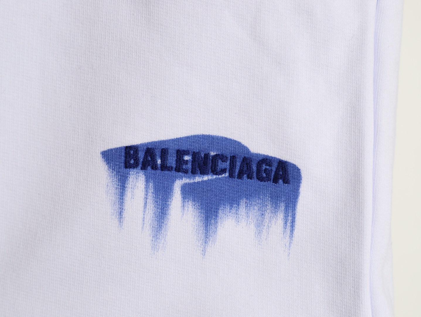 Ba1en*iaga 26SS Shorts