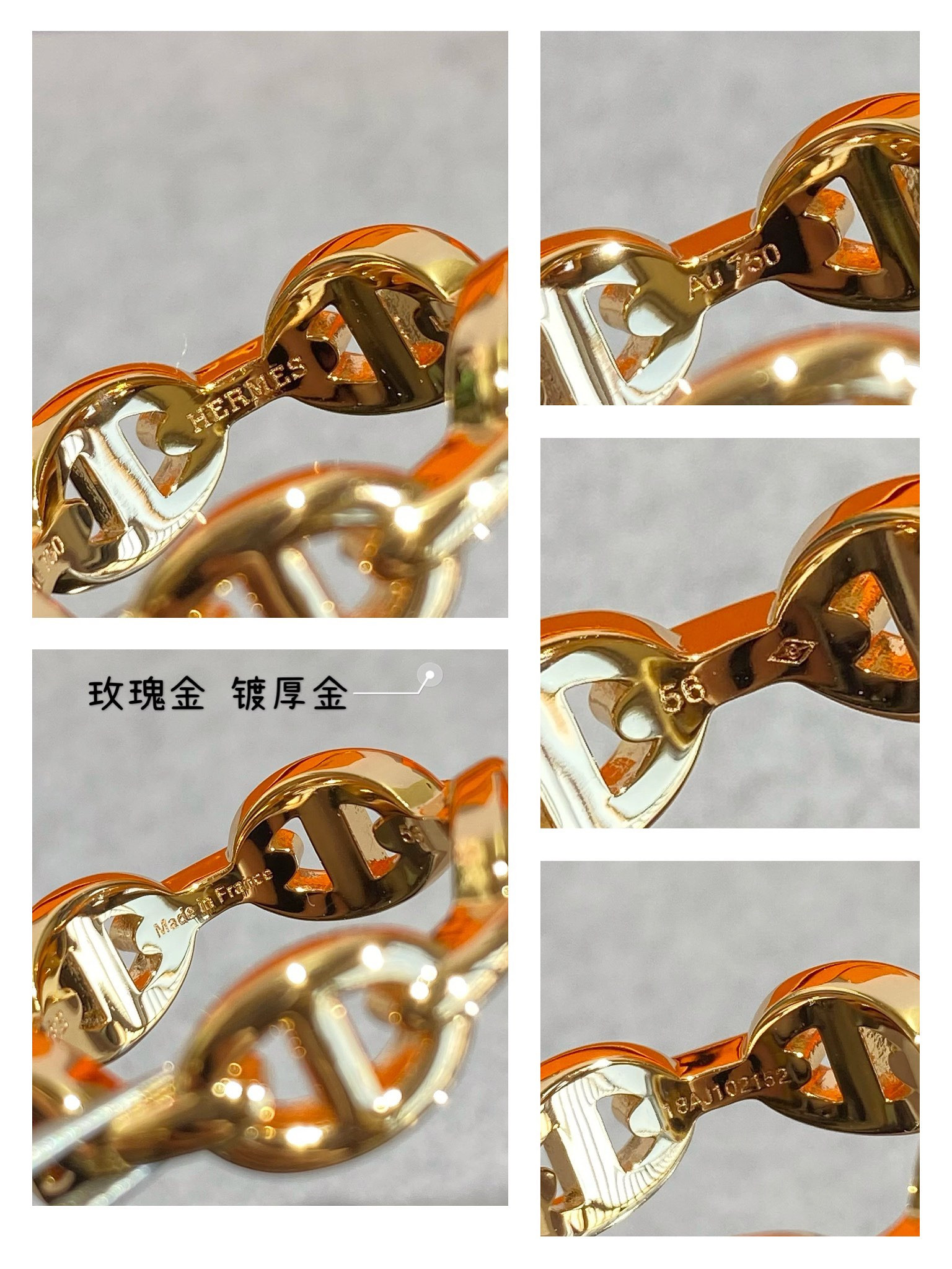 H**me5 Collier de Chien Ring