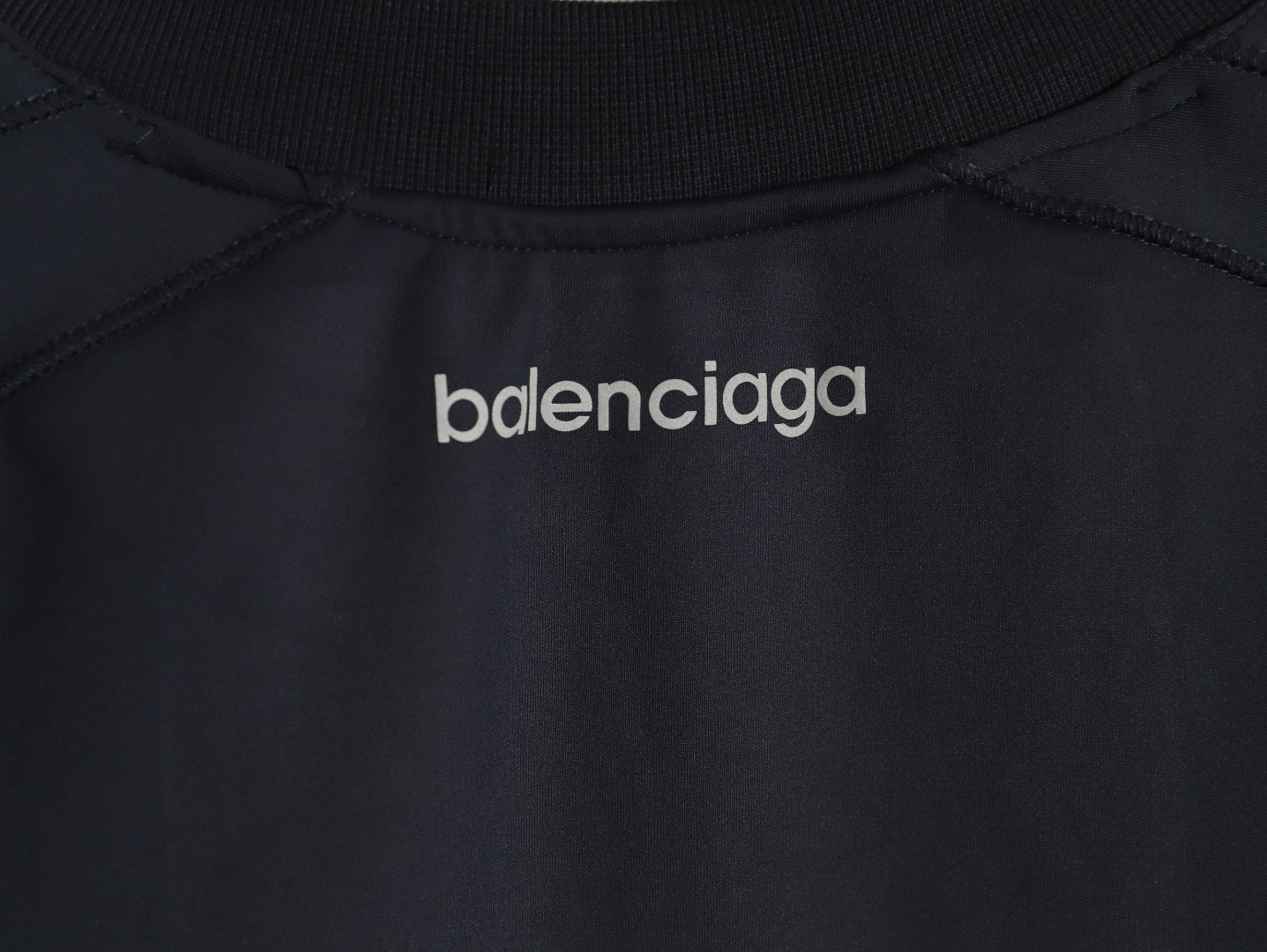 Ba1en*iaga BLCG Long-sleeved T-shirt