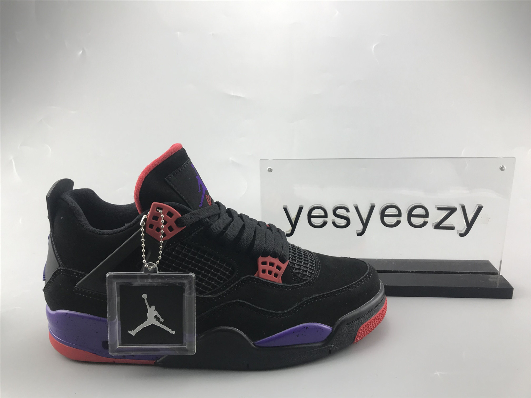 UA AIR JORDAN 4 RETRO NRG "RAPTOR - DRAKE SIGNATURE"