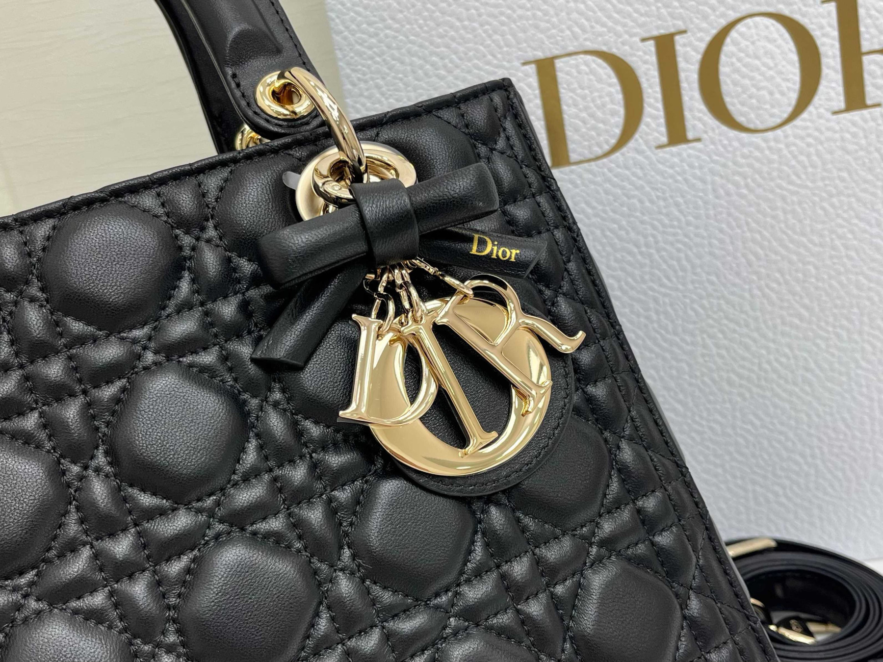 D10r Medium Lady D10r Bag 24x21x12cm