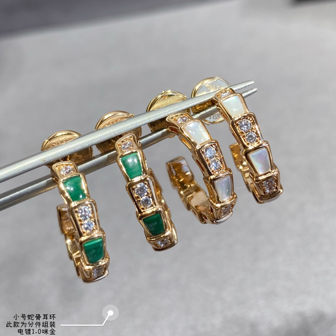 Bv1g*ai small Snake bone Earrings