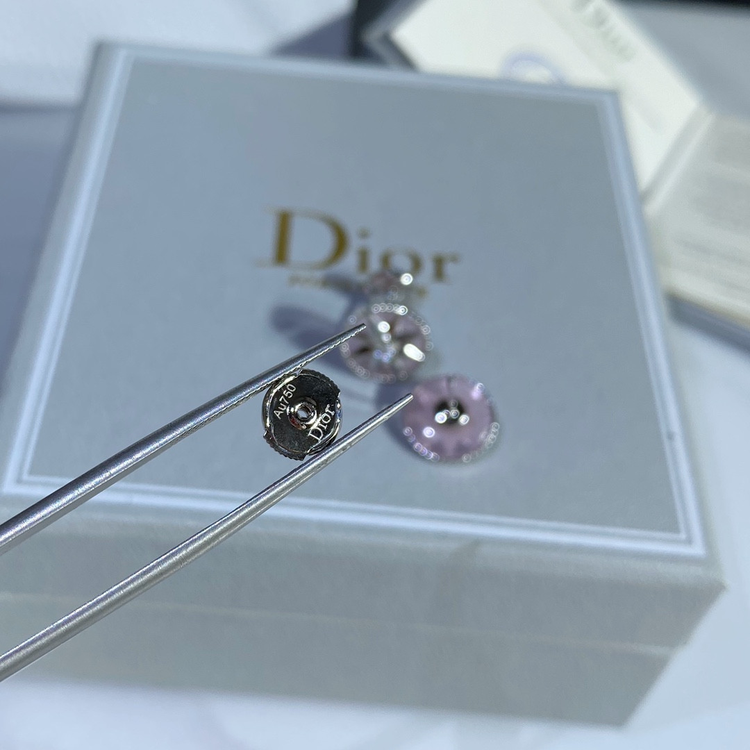 D10r compass Stud Earrings