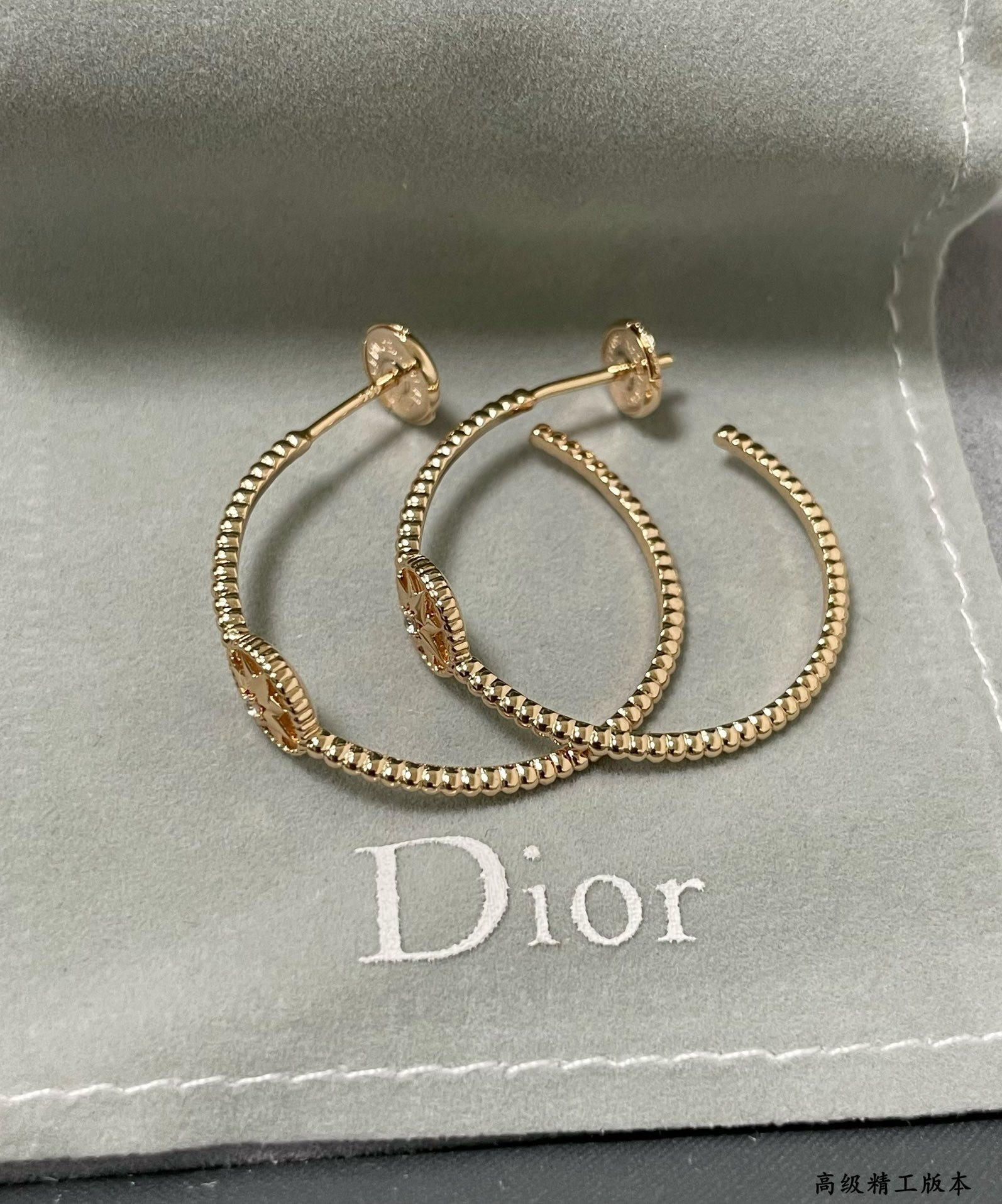 D10r rose des vents earrings