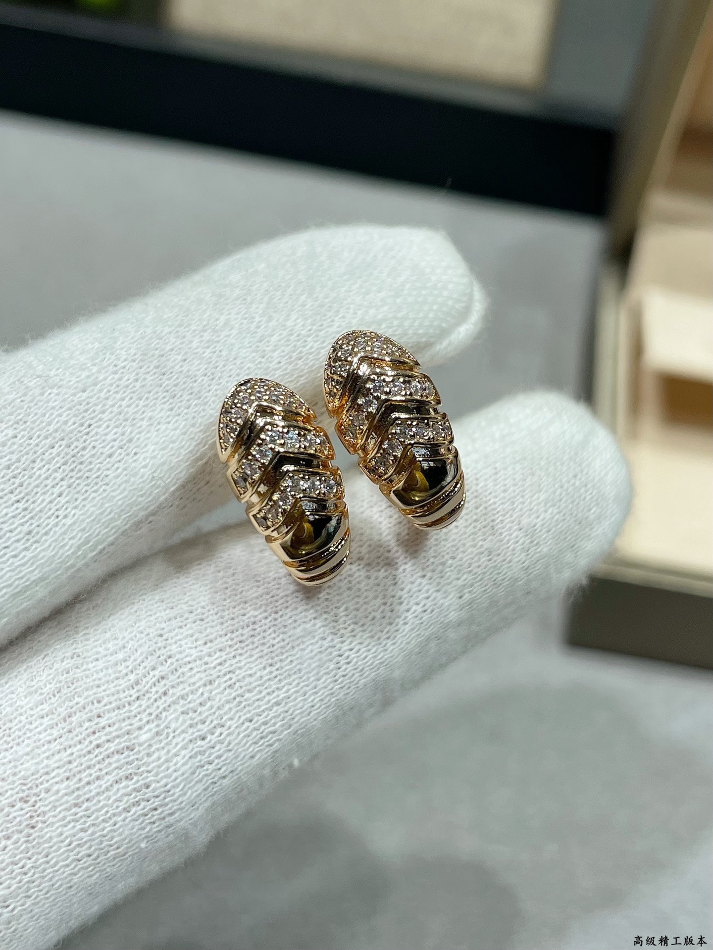 Bv1g*ai Earrings