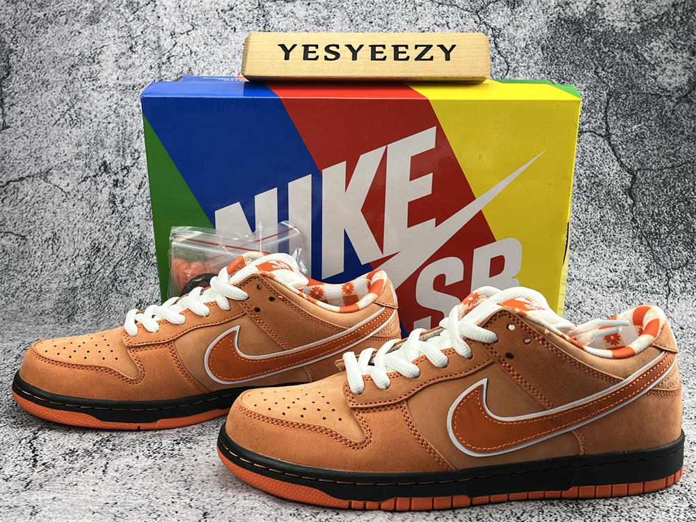 UA NIKE CONCEPTS X DUNK LOW SB 