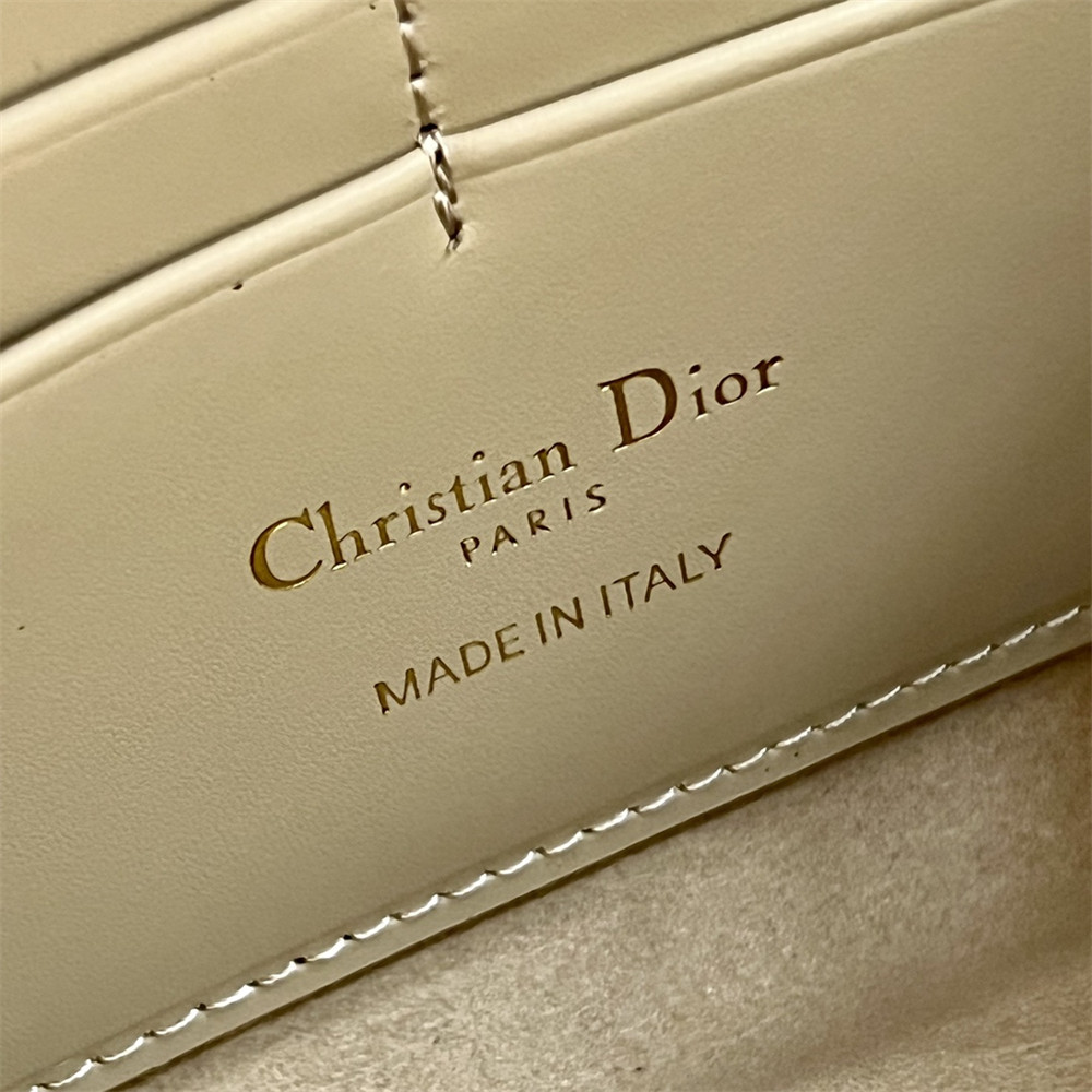 D10r BOBBY EAST-WEST POUCH WITH CHAIN Latte Smooth Calfskin Apricot