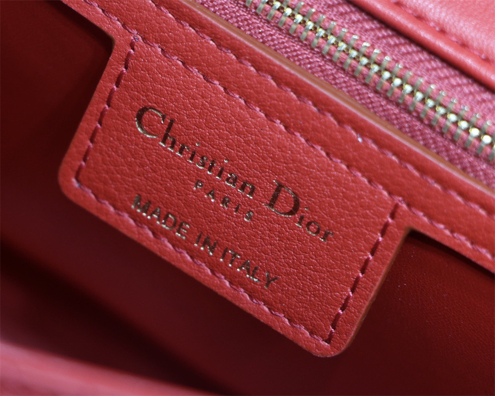 MEDIUM D10r CARO BAG amour red 25.5 x 15.5 x 8 cm