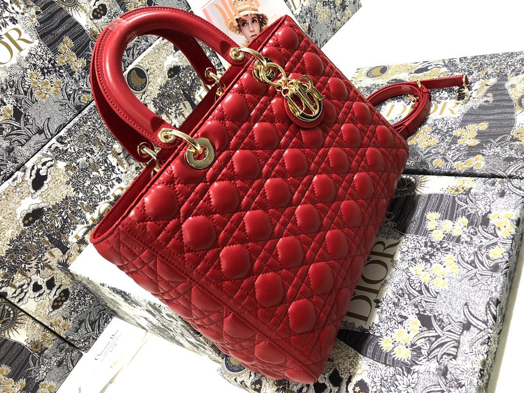 D10r Lady Bag 32 x 25 x 11cm